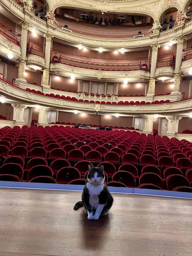 Grote Zaal