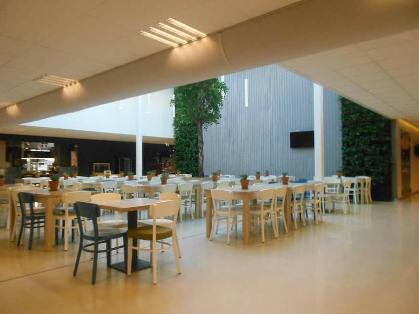 Flexible event space at Restaurant Le Début, Amsterdam with natural light and greenery.