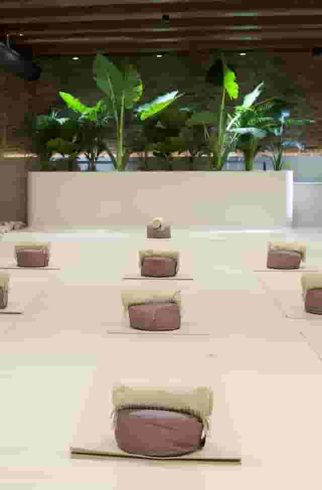 Cacao & Yoga Classes