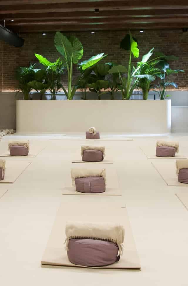Cacao & Yoga Classes
