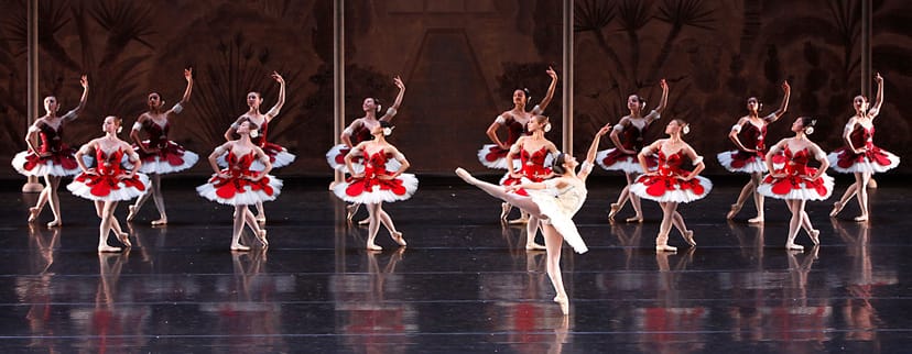 Ballet performance in Dutch National Opera, featuring vibrant tutus and elegant choreography.