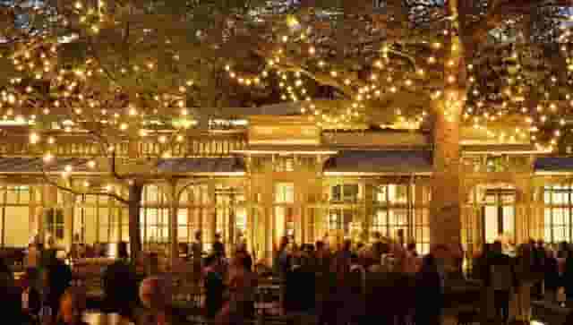 Museum Café