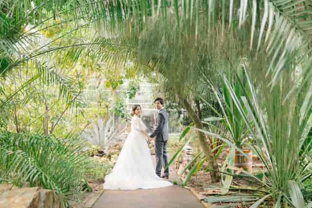 Book Venue: De Hortus (Laranjazaal) in ...