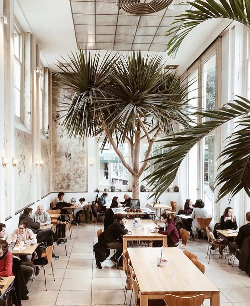 Orangery De Hortus vibrant café space for networking and creative gatherings.