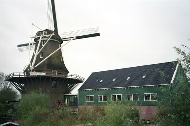 Windmill