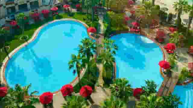 Poolside gardens