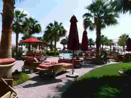 Poolside gardens