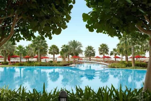 Poolside gardens