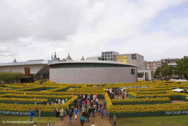 A sunflower labyrinth at Van Gogh ...