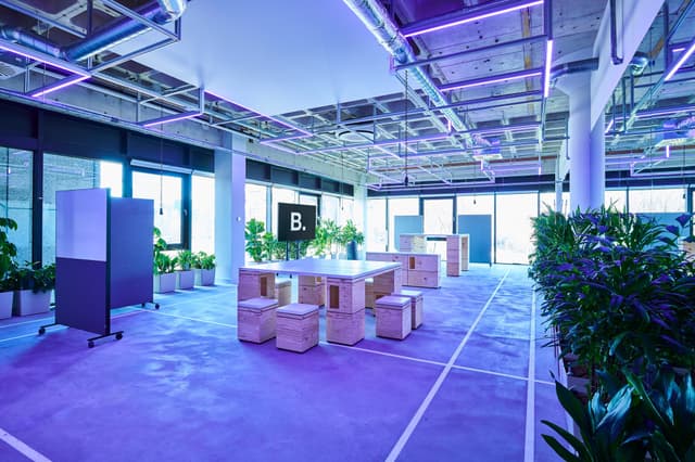 Bright Lab