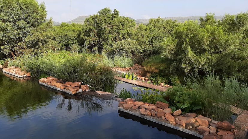Cradle Boutique Hotel - >malcolm coulson</a>