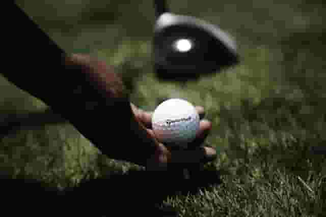 The Aloe