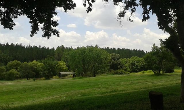 Beer garden at Riversands Farm with green lawn, ideal for team-building and outdoor events.