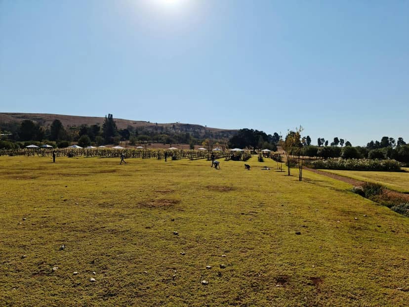 Spacious Wattle Forest venue, lush green fields for weddings and corporate events.