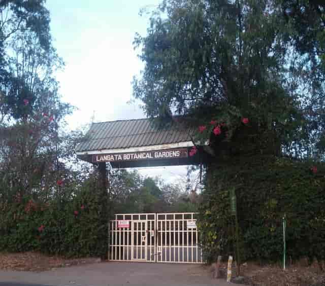 Lang'ata Botanical Gardens entrance, lush greenery for weddings and outdoor events.