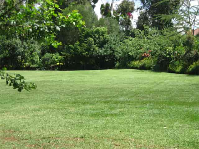 Restaurant in Langata Botanical Gardens, lush lawn ideal for events and picnics.