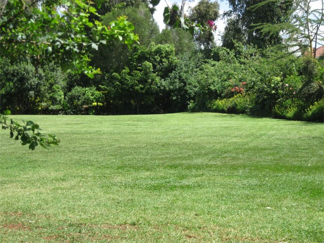 Restaurant in Langata Botanical Gardens, lush lawn ideal for events and picnics.