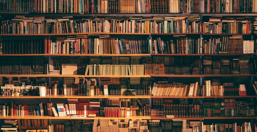 Reading area at Kenya National Library, inviting bookshelves for events and lectures.