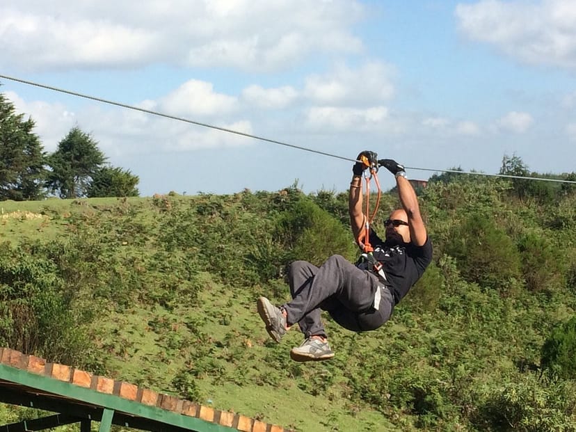 Zipline adventure at The Forest Adventure Centre for team-building events.
