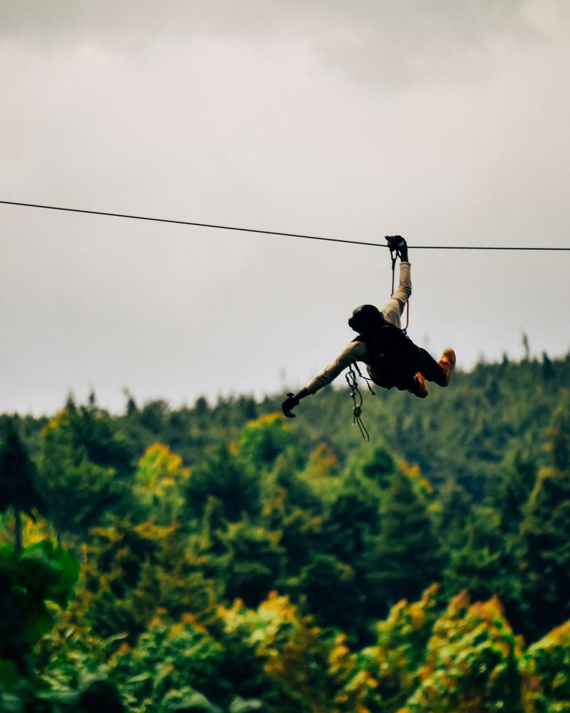 Eagle’s Nest zip line at Forest Adventure Centre for team-building retreats.