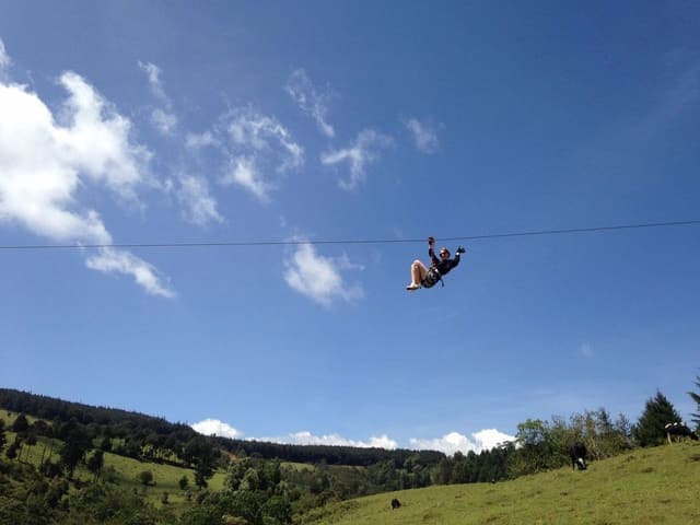 The Flying Elephant