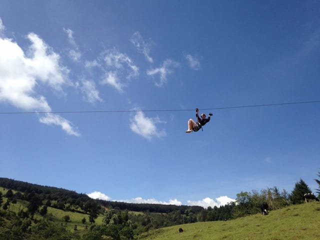 Flying Elephant zip line at The Forest Adventure Centre, ideal for team-building events.