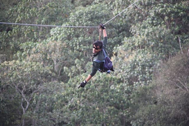 The Flying Elephant
