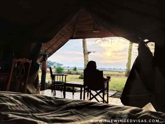 Tented camp glamping setup at Ol Pejeta Conservancy, perfect for outdoor retreats.