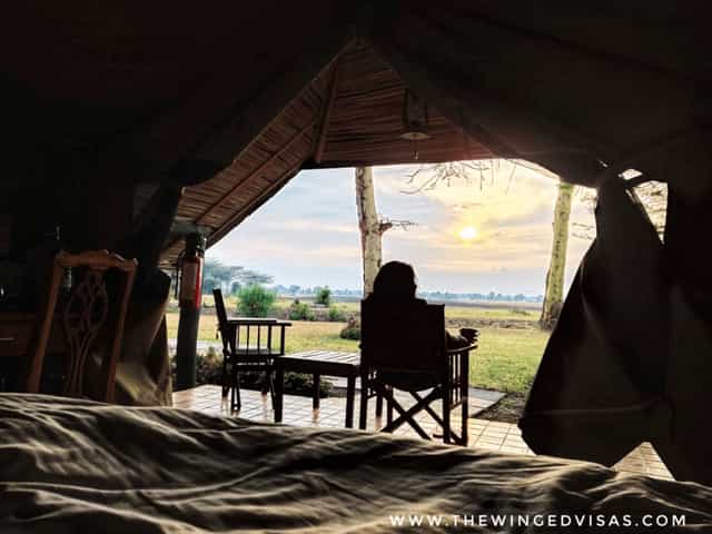 Tented camp glamping setup at Ol Pejeta Conservancy, perfect for outdoor retreats.
