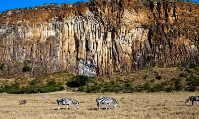 Camping Grounds