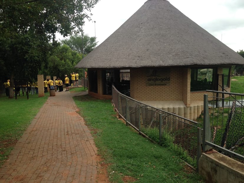 AngloGold Ashanti Conference Centre, Joburg: thatched roof venue for events and team-building.