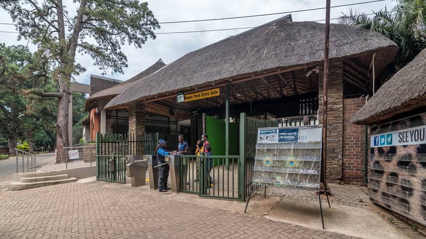 JoburgParksZoo (@JoburgParksZoo) / X