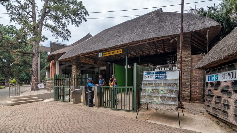 The Bandstand in Joburg City Parks: thatched roof venue for outdoor events and gatherings.