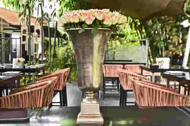 Open garden