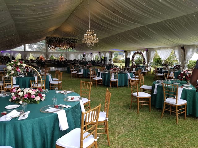 Elegant event tent with green tablecloths, ideal for upscale weddings in Paradise Gardens.