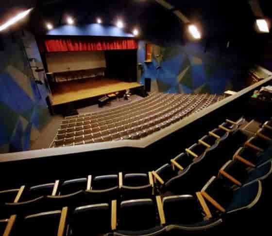 Performing arts theater with tiered seating, ideal for showcases and conferences.