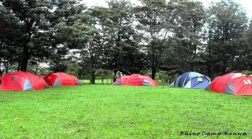 Colorful tents at Lake Nakuru National Park for team-building retreats and workshops.