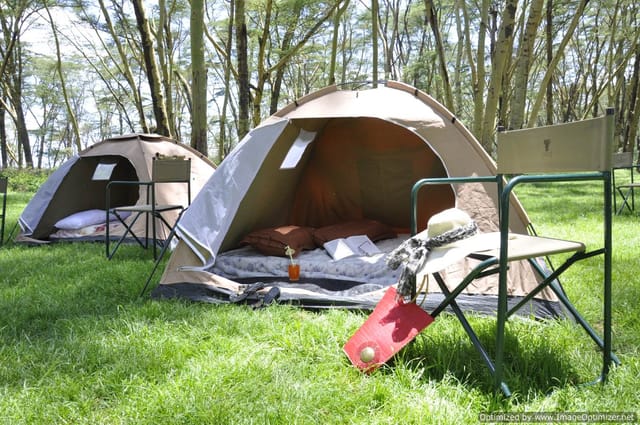 Cozy glamping tents in Lake Nakuru National Park for team-building retreats.