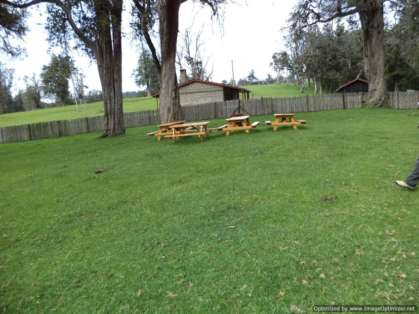 Public Campsites in Mount Kenya: lush lawn, picnic tables for outdoor gatherings and events.