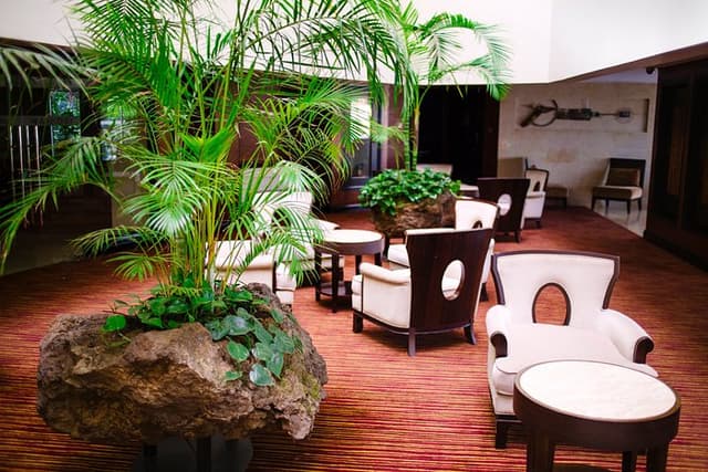 Ndovu Ballroom