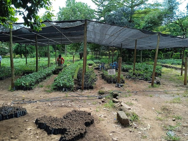 Cheptebo Conference Centre greenhouse for sustainable workshops or team-building activities.
