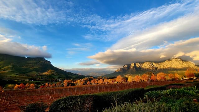 Delaire Graff Estate