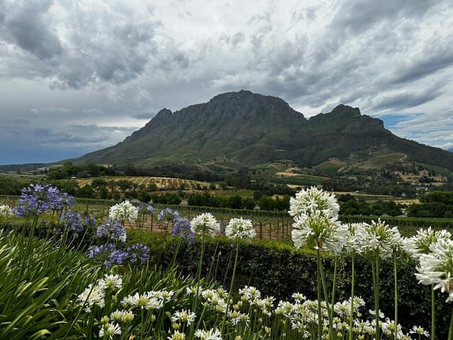 Delaire Graff Estate