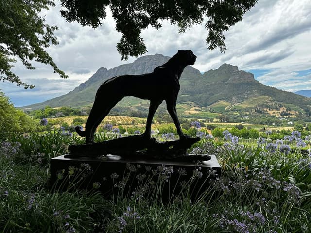 Delaire Graff Estate