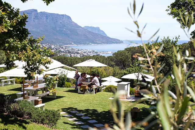 Outdoor cocktail bar with lush greenery for corporate retreats and social gatherings.