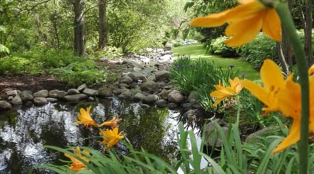 Serene Kumpula Botanic Garden with vibrant flowers, ideal for retreats and meetings.