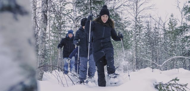 Activities - Northern Lights Ranch