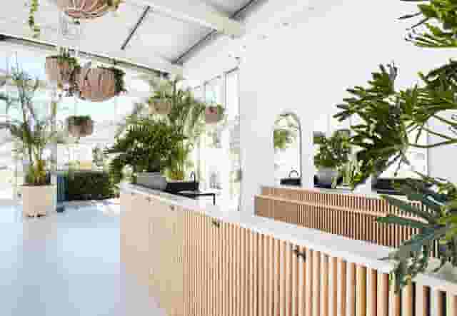 Outdoor Deck