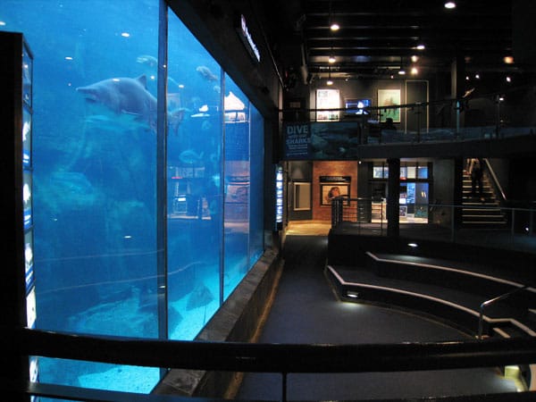 Tranquility venue at Two Oceans Aquarium with tiered seating for events and meetings.