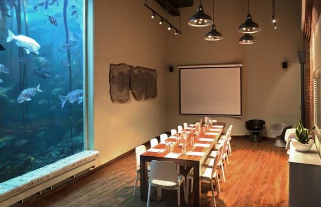 Unique meeting space with large aquarium wall for creative corporate events.